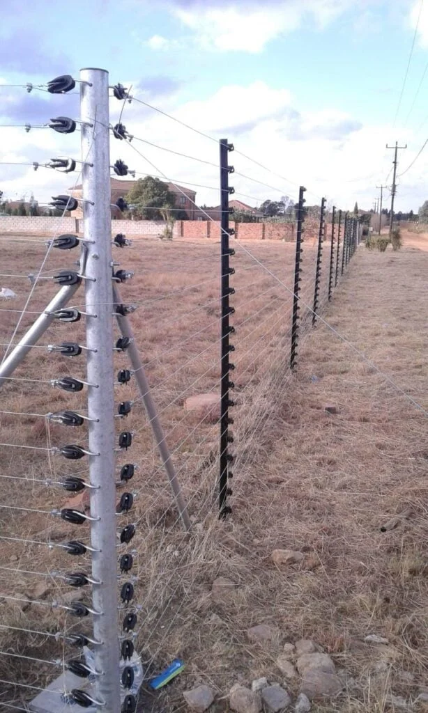 Voice SA Pty Ltd gallery image 2